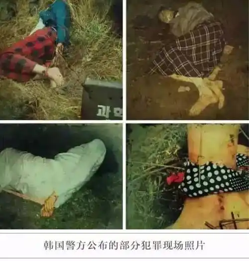 这8部神作猜到结尾算我输