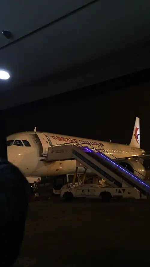 6日凌晨一点半,东航平安降落在禄口机场.我回来啦!