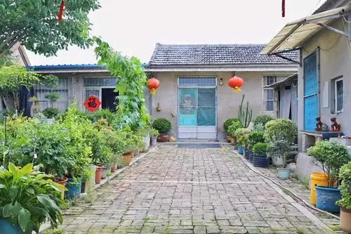 走进乡村看小康江苏徐州推窗见绿抬头赏景起步闻香最美农家庭院扮靓