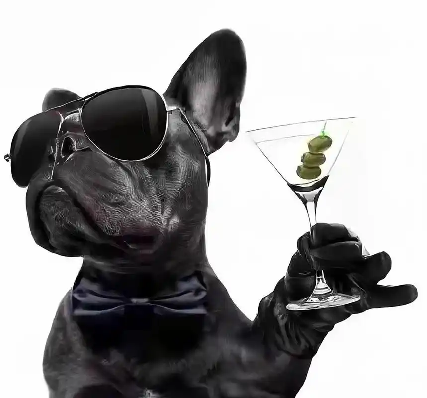 狗狗头像 霸气狗狗 头像 动物头像 萌狗 一组风华绝代的狗狗头像