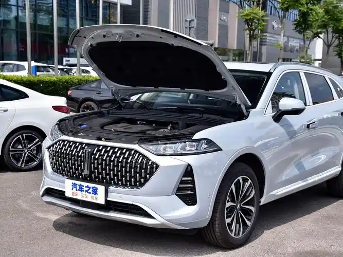 信阳盛和>长城汽车>魏牌摩卡>2021款2.