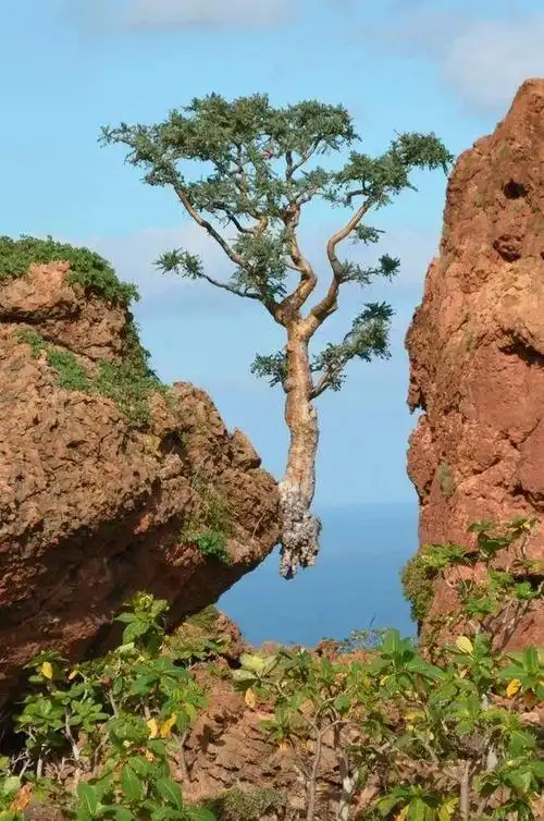 50种罕见世界奇观照片每一幅都征服你的眼睛