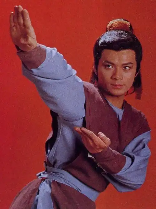 分享一组靖哥哥黄日华的武打招式,83版射雕情怀永在