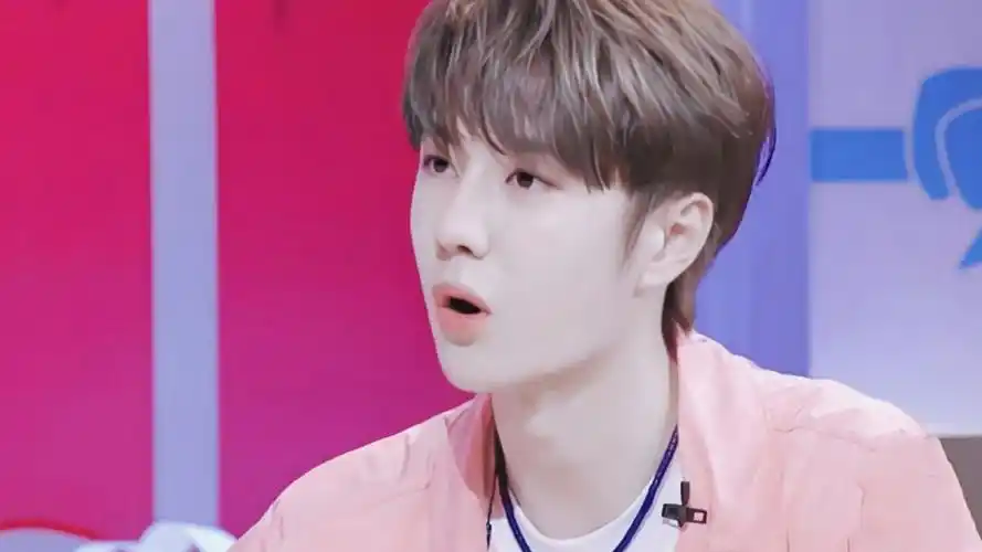 小清新男神王一博休闲粉色衬衫写真,大陆明星-回车桌面