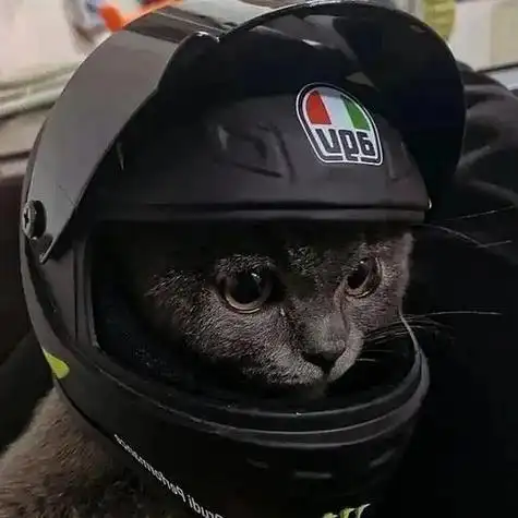 跪求一个蓝猫带黑色头盔的头像