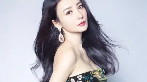 娱乐圈5大,大胸女明星,柳岩第三