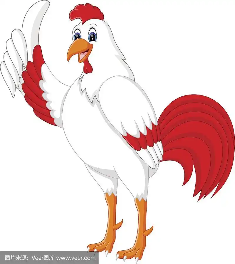可爱公鸡卡通呈现