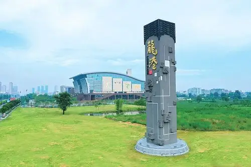 代表关注丨龙港人大:敢为"人"先 "大"有作为