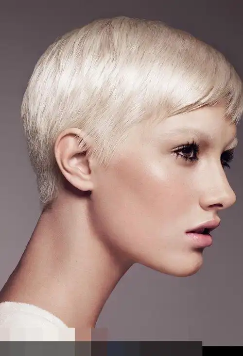 首页 玩发型 短头发 西方女士流行短头发造型 打造潮女风采的短发图库