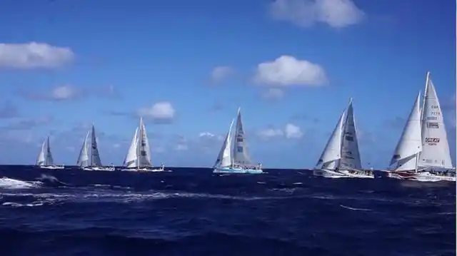 wob欢迎来航海帆船赛 5月31日,"wob欢迎来航海帆船赛"再次扬帆浮山湾.