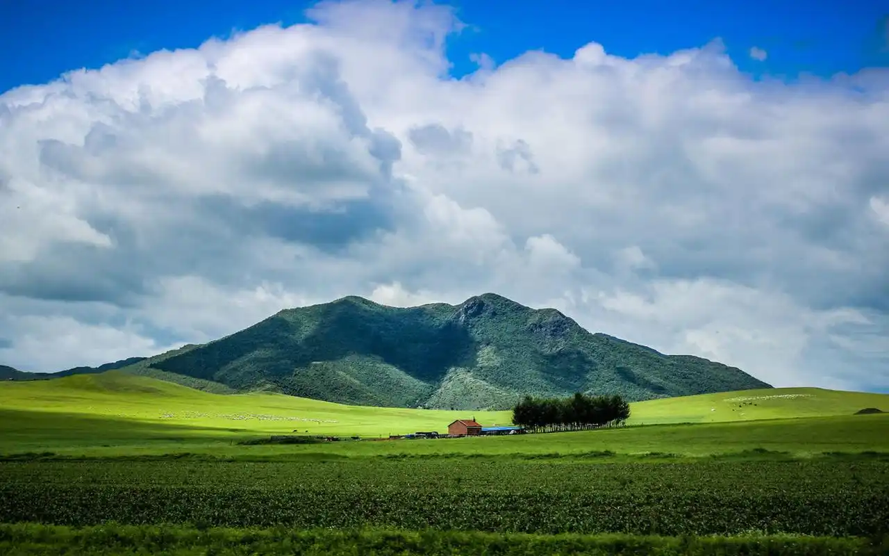 大草原桌面壁纸