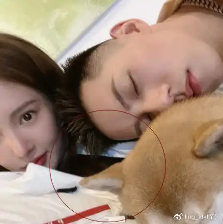 金晨卡斯柏晒合照,两人的举动完全像在热恋中,评论区一片恭喜