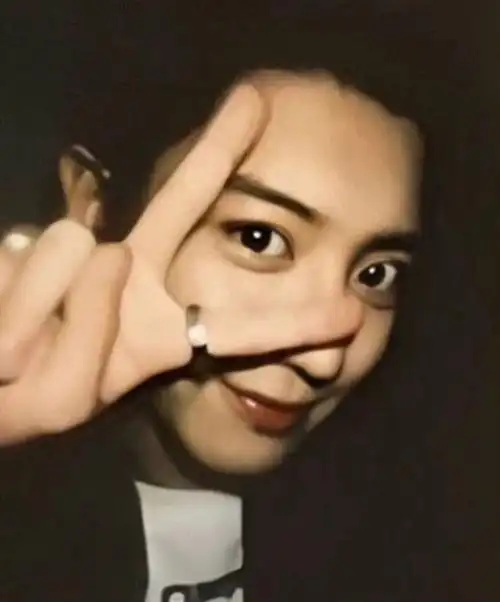 我为灿烈举大旗[加油r][加油r]#帅哥  #exo  #剪刀手  #朴灿烈  #爱丽