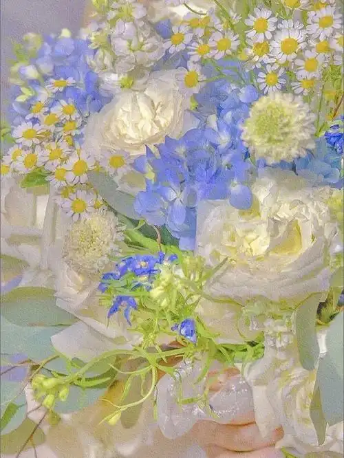 鲜花壁纸干净简单治愈