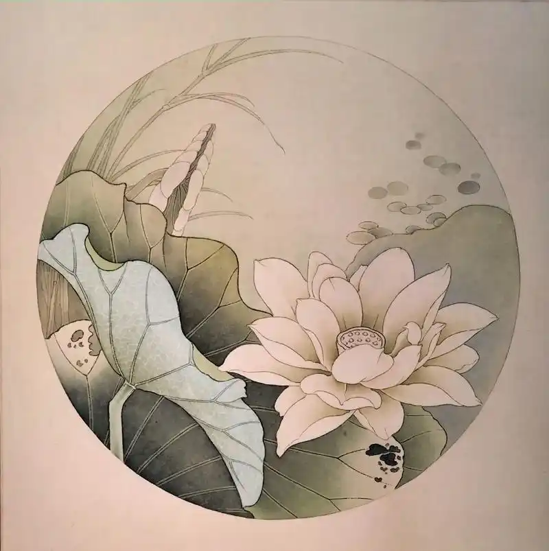 工笔荷花.步骤及用色.#工笔画 #荷花 #纯手绘 #家居挂画 - 抖音