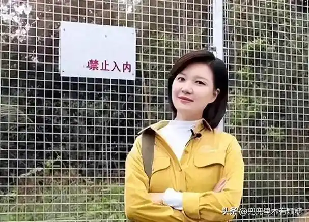 上海卫视著名主持人陈蓉被吊销主持人证复出后转幕后做制片人