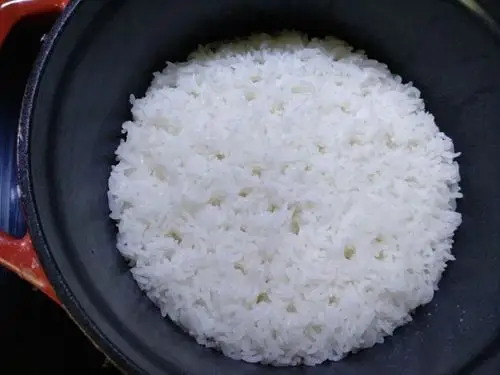 铸铁锅米饭的做法