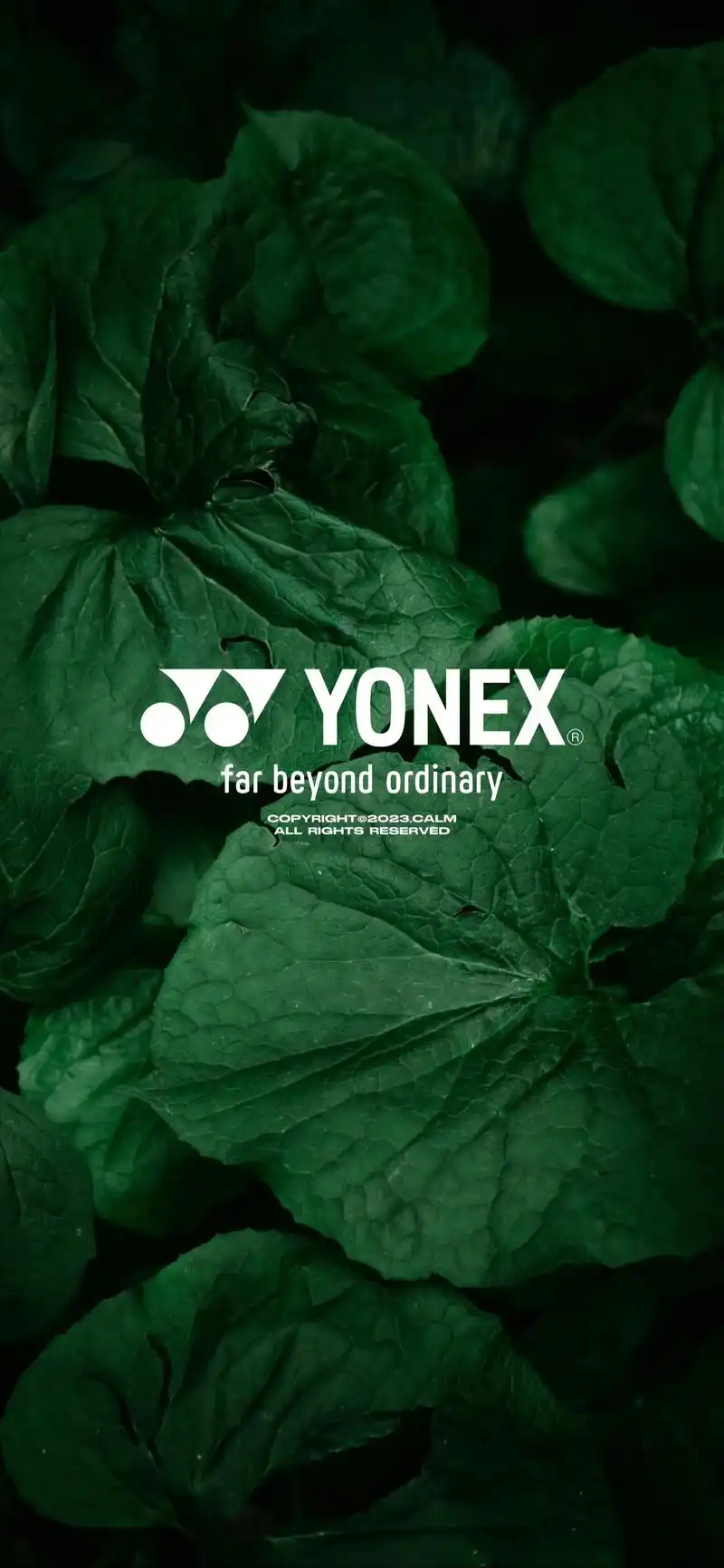 羽球人4k护眼壁纸#羽毛球壁纸 #羽毛球壁纸 - 抖音