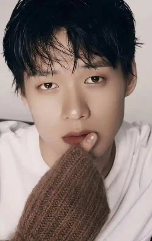 一问一答 | tfboys,秦岚魏大勋,小s具俊晔,邓伦,王楚然,偷税的圆脸