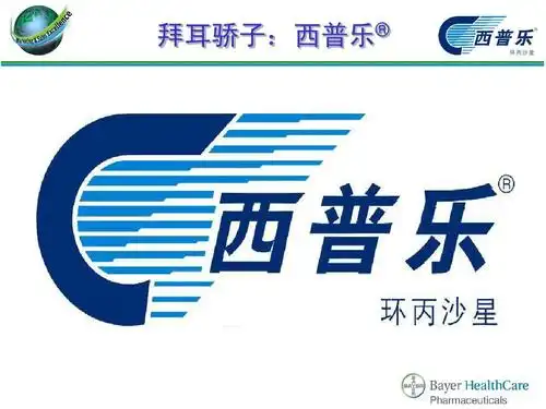 西普乐幻灯(历史)ppt