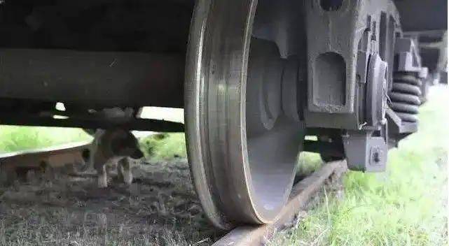 日本这个10岁的坏孩子,是怎么把火车干脱轨的?_腾讯新闻