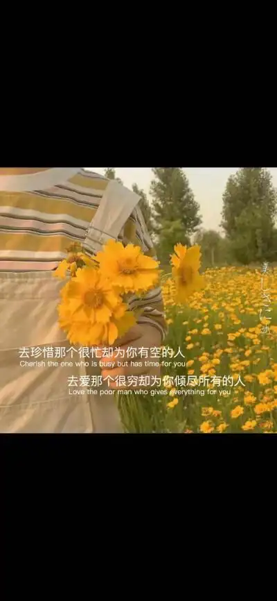 抖音热图,伤感文字壁纸《风景》锁屏壁纸