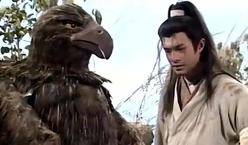 杨过和小龙女约定十六年后再次相见,在此期间他勤修武功,行侠江湖,大