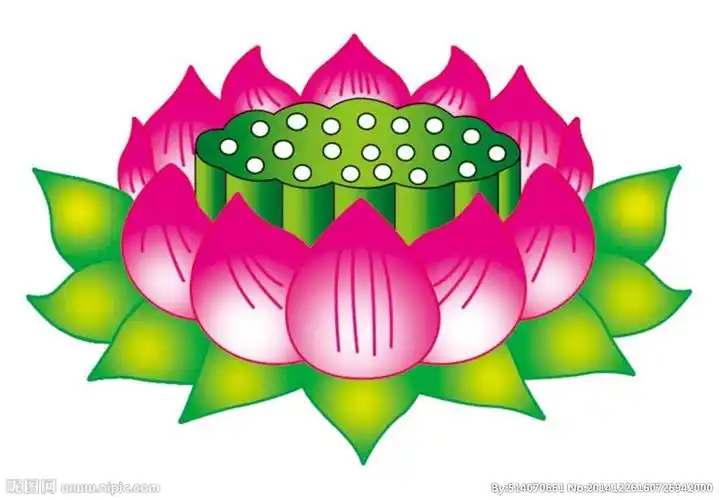 克土脾胃之疾辛卯当为司机