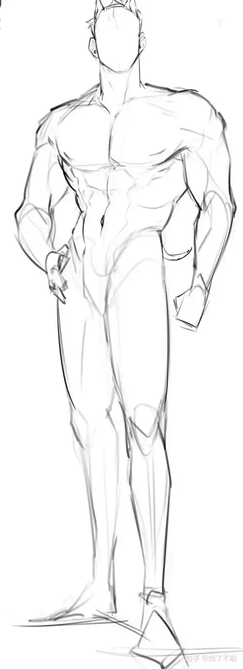 【绘画素材】撕~这才是猛男!男性肌肉走向线稿绘画参考 - 知乎