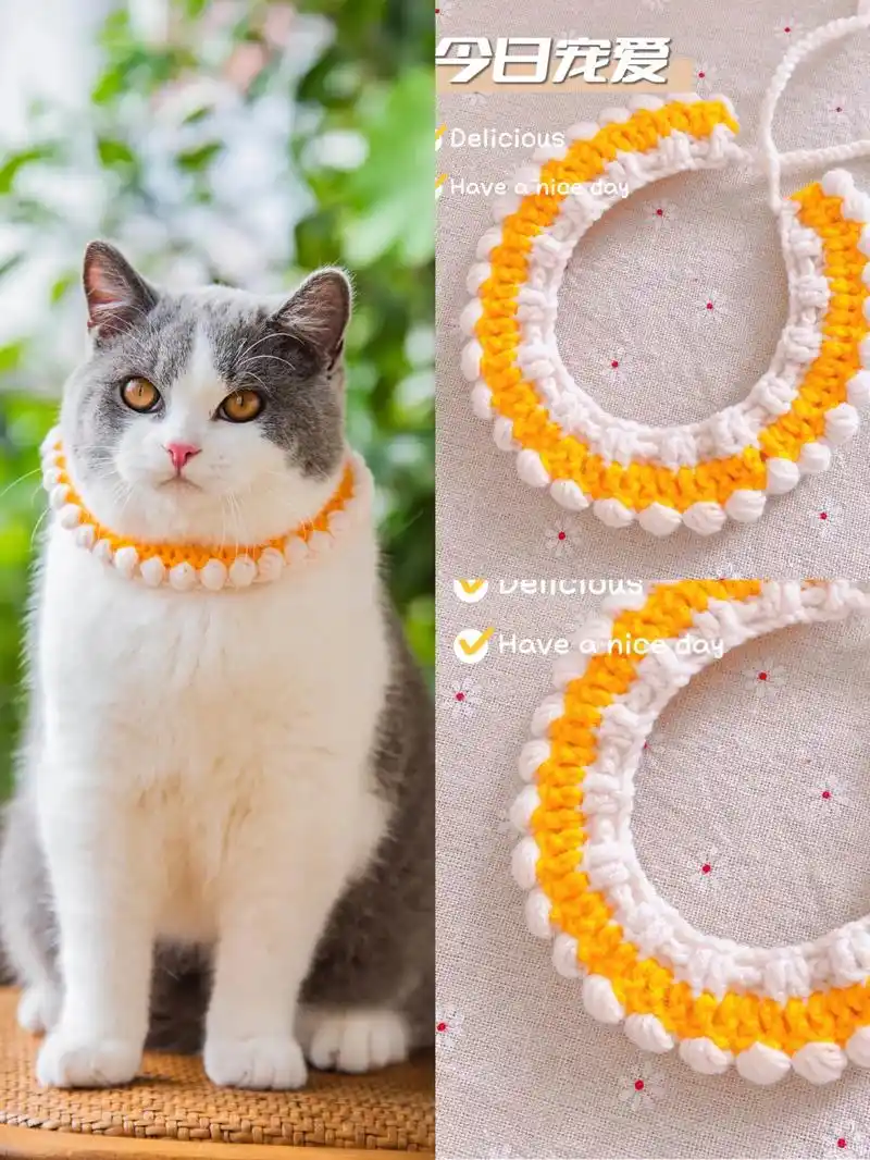 自制猫咪项圈:快来种草这款高颜值宠物围脖呀#毛线手工编织 # - 抖音