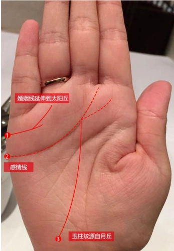 婚姻线-「易德轩网提供」什么是通天纹手相什么意思