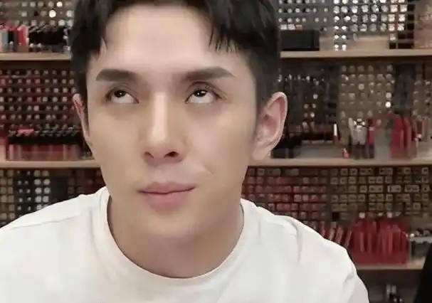 商科专业背景提升|李佳琦嘲讽消费者买不起79元眉笔!_经济_研究_项目