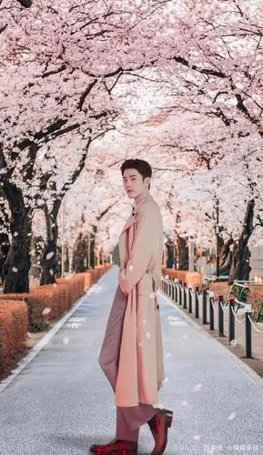 肖战与花系列,愿世间美好与你环环相扣