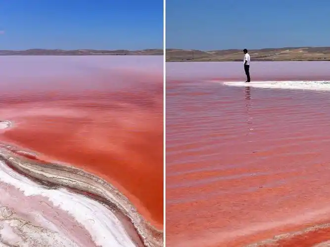 红海海水呈现什么颜色(红海的红色是什么原因造成的)-图2