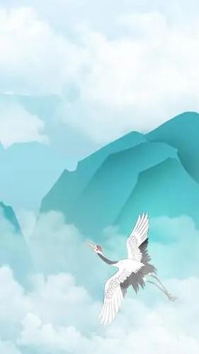 高清手机壁纸‖仙鹤-那个爱养丹顶鹤的女孩,从未离开