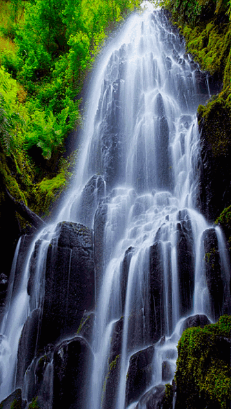 风景gif景色gif景区gif