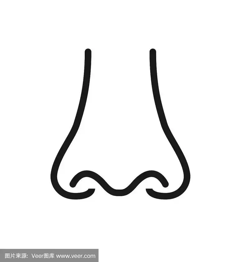 轮廓图标人类的感官:嗅觉(鼻子).矢量符号孤立在背景上