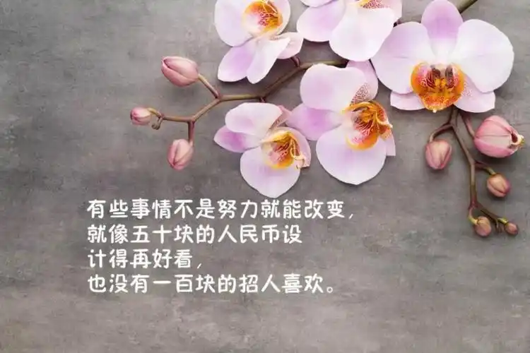 心烦说说心情短语(心烦说说心情短语带图) - 伤感的句子 - 精美文字