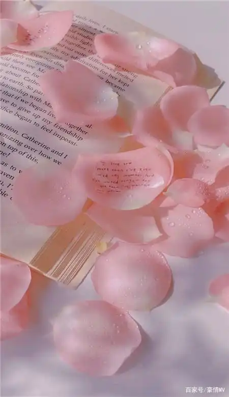 粉色系唯美手机壁纸无水印_粉色风格皮肤图片2021合集