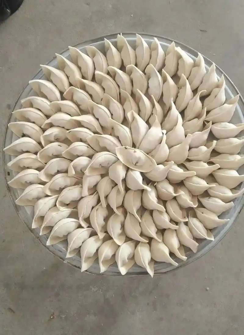 手工饺子 #自己动手丰衣足食 #健康美食自己做  - 抖音