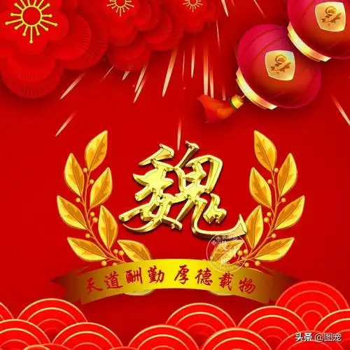 姓氏做头像素材魏(骐骥一跃不能十步)(47)