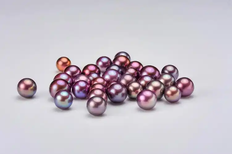 多彩珍珠蚌多拍多送