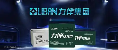 2021十大电动车电池品牌top排行榜!