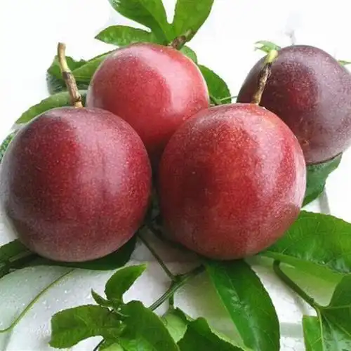 百香果爱情果固体饮料陕西代加工oem