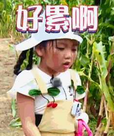 可爱萌娃阿拉蕾gif表情包_小手牵小狗智慧担当