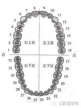 大龄女青年的牙齿正畸之路偏颌深覆合公立医院私立诊所