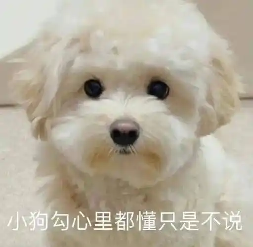 斗图精选表情包:哈哈 哪来的臭嘴