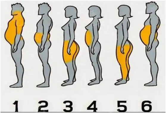 看看自己是属于哪种体型?