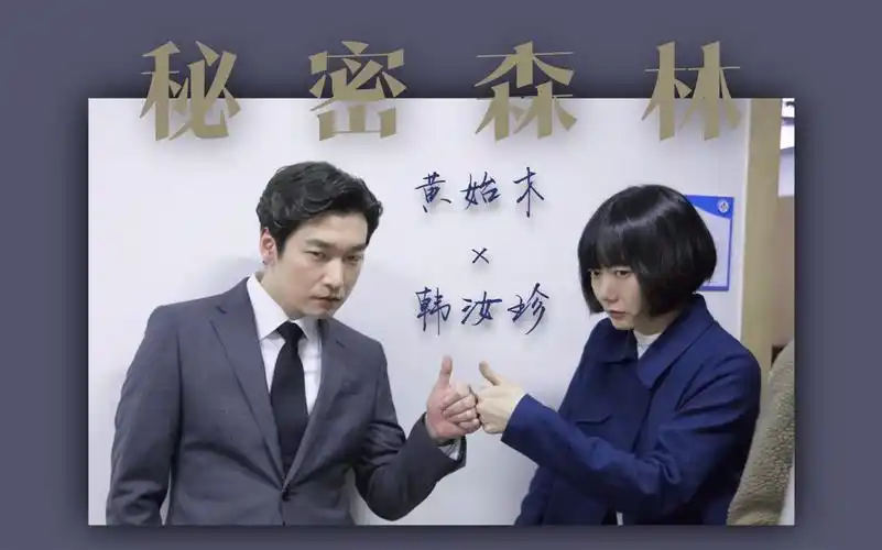 【秘密森林1|黄始木×韩汝珍】时针cp同框cut合集|已更完