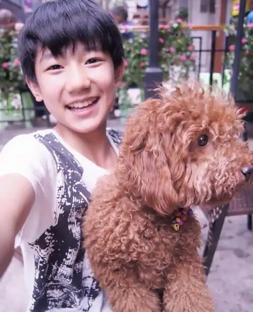 王源的 照片快来看看